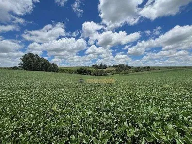 Fazenda / Sítio / Chácara com 6 Quartos à venda, 4m² no Parque Industrial José Garcia Gimenes, Cambé