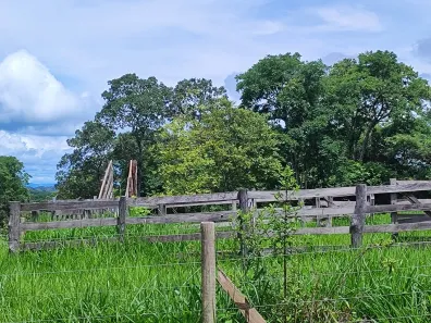 Fazenda / Sítio / Chácara com 3 Quartos à venda, 363000m² no Bezerra, Formosa