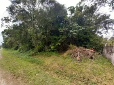 Fazenda / Sítio / Chácara à venda, 2542m² no Gaivota, Itanhaém