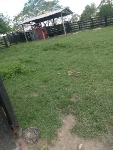 Fazenda / Sítio / Chácara à venda, 4345240m² no , Porto Murtinho