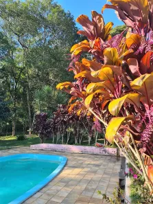 Fazenda / Sítio / Chácara com 5 Quartos para alugar, 640m² no Jardim São Miguel, Cotia