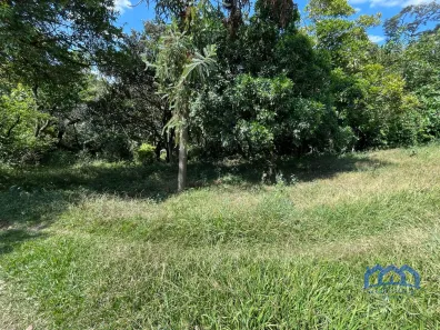 Fazenda / Sítio / Chácara com 5 Quartos à venda, 6000m² no , Alumínio