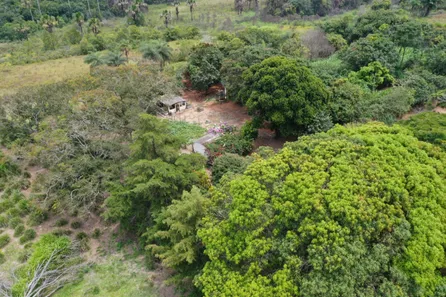 Fazenda / Sítio / Chácara à venda, 130000m² no Arapoanga, Brasília