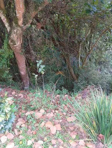 Terreno / Lote / Condomínio à venda, 300m² no Parque Nova Jandira, Jandira