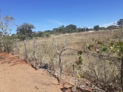 Fazenda / Sítio / Chácara à venda, 5000m² no Brazlândia, Brasília