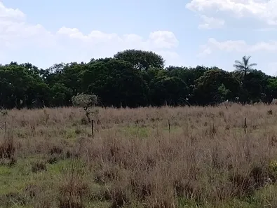 Fazenda / Sítio / Chácara à venda, 20000m² no Núcleo Rural Lago Oeste, Brasília