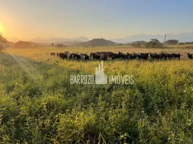 Fazenda / Sítio / Chácara com 3 Quartos à venda, 450000m² no Papucaia, Cachoeiras de Macacu
