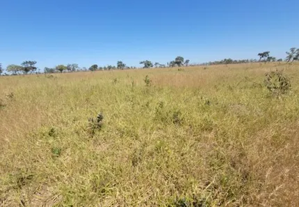 Fazenda / Sítio / Chácara com 3 Quartos à venda, 556000m² no Área Rural de Santo Antônio do Descoberto, Santo Antônio do Descoberto