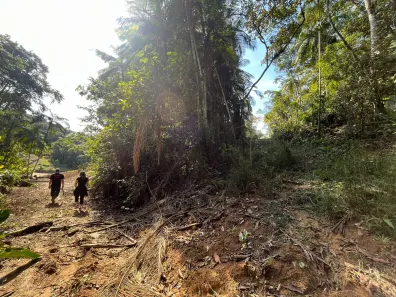Fazenda / Sítio / Chácara à venda, 11000m² no Massaranduba, Massaranduba