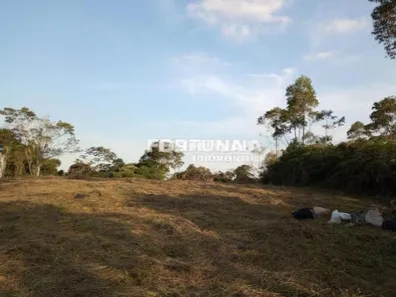 Terreno / Lote Comercial à venda, 1959m² no Fazenda Vitoria, São Lourenço da Serra