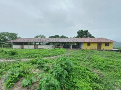 Fazenda / Sítio / Chácara com 11 Quartos à venda, 128519m² no , Pombos