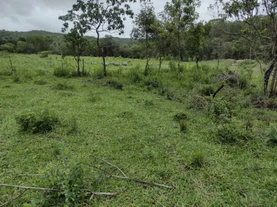Terreno / Lote / Condomínio à venda, 20000m² no Zona Rural, Fortuna de Minas