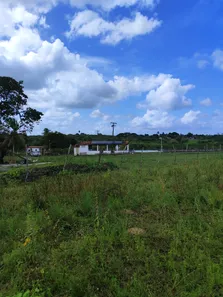 Fazenda / Sítio / Chácara com 4 Quartos à venda, 400000m² no , Vera Cruz