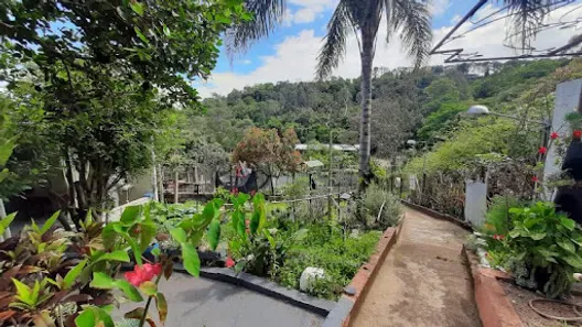Fazenda / Sítio / Chácara com 3 Quartos à venda, 200m² no Aglomeração Urbana de Jundiaí, Louveira