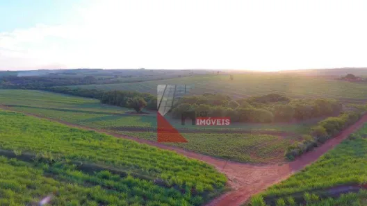Fazenda / Sítio / Chácara com 1 Quarto à venda, 1149500m² no Jardim Cristo Rey, Goioerê