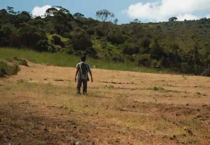 Fazenda / Sítio / Chácara à venda, 1000m² no Saboó, São Roque