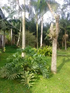 Fazenda / Sítio / Chácara com 2 Quartos à venda, 200m² no Quarta Divisão, Ribeirão Pires