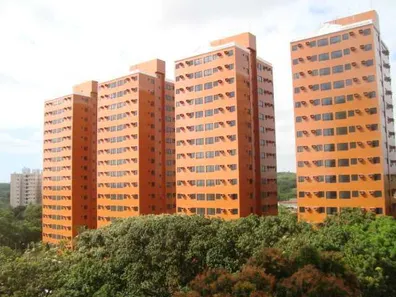 Apartamento com 3 Quartos para alugar, 60m² no Sancho, Recife
