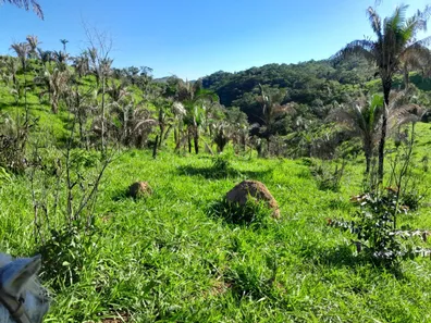 Fazenda / Sítio / Chácara com 3 Quartos à venda, 2565000m² no , Padre Bernardo