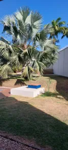Casa com 4 Quartos à venda, 320m² no Setor Serrano, Paraíso do Tocantins