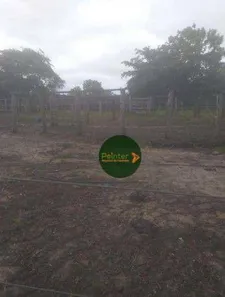 Fazenda / Sítio / Chácara à venda, 16253325m² no , Paranã
