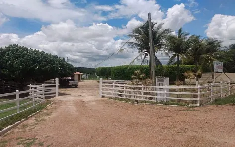 Fazenda / Sítio / Chácara à venda, 250m² no Centro, Brejinho