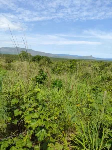 Terreno / Lote / Condomínio com 1 Quarto à venda, 500m² no , Paranã