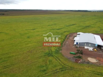 Fazenda / Sítio / Chácara à venda, 55000000m² no , Pedro Afonso