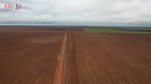 Fazenda / Sítio / Chácara à venda, 100190000m² no , Pedro Afonso