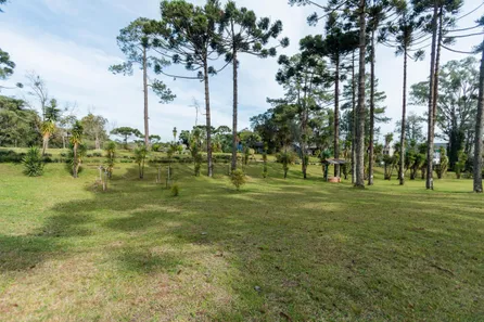 Fazenda / Sítio / Chácara à venda, 9048m² no Guarani, Colombo