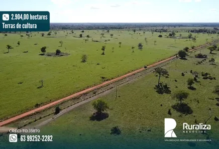 Fazenda / Sítio / Chácara à venda, 2904m² no , Formoso do Araguaia