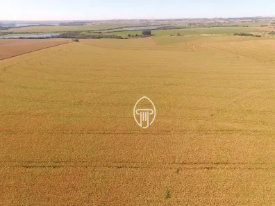 Fazenda / Sítio / Chácara à venda, 592900m² no , Leópolis