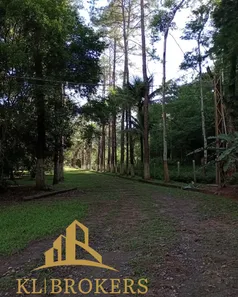 Fazenda / Sítio / Chácara com 5 Quartos à venda, 480m² no Vargem Alegre, Barra do Piraí
