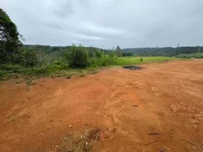Terreno / Lote / Condomínio à venda, 1500m² no , São Pedro de Alcântara