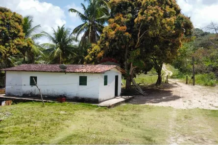Fazenda / Sítio / Chácara à venda, 160000m² no Jardim Recreio, Conde