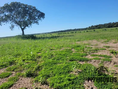 Terreno / Lote / Condomínio à venda, 206m² no , Lagoa da Confusão