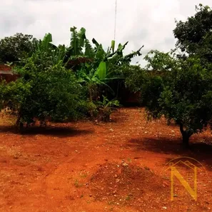 Casa de Condomínio com 4 Quartos à venda, 850m² no Ponte Alta Norte, Brasília
