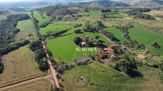 Fazenda / Sítio / Chácara à venda, 962964m² no Pinheiro, Ibiporã