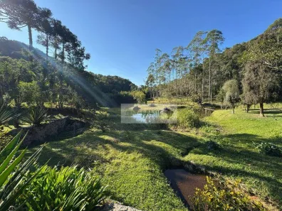 Fazenda / Sítio / Chácara com 5 Quartos à venda, 300m² no Cachoeirinha, Bom Jesus dos Perdões
