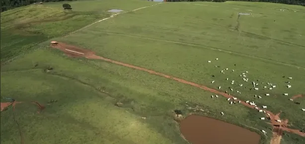 Fazenda / Sítio / Chácara com 5 Quartos à venda, 300m² no , Laranjal Paulista