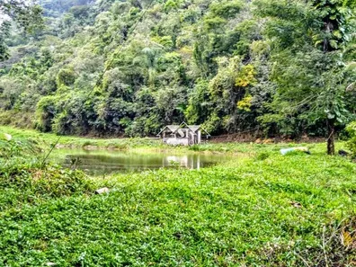 Fazenda / Sítio / Chácara com 2 Quartos à venda, 150m² no Parque Xerém, Duque de Caxias