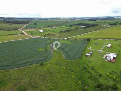 Terreno / Lote / Condomínio à venda, 20026m² no São Luiz do Purunã, Balsa Nova