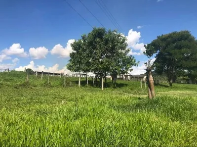 Fazenda / Sítio / Chácara com 3 Quartos à venda, 420000m² no Área Rural de Novo Gama, Novo Gama