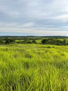 Fazenda / Sítio / Chácara com 2 Quartos à venda, 4985000m² no , Ponte Alta do Tocantins