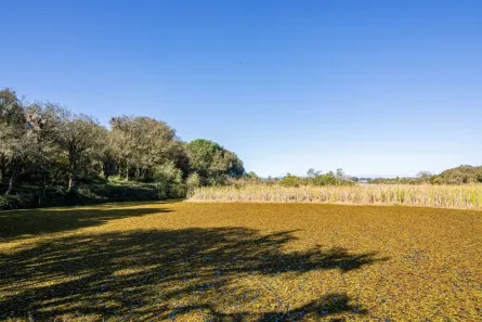 Fazenda / Sítio / Chácara à venda, 97075m² no Weissópolis, Pinhais