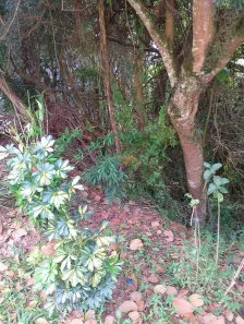 Terreno / Lote / Condomínio à venda, 300m² no Parque Nova Jandira, Jandira