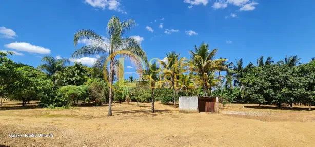 Fazenda / Sítio / Chácara com 3 Quartos à venda, 20000m² no Brazlândia, Brasília