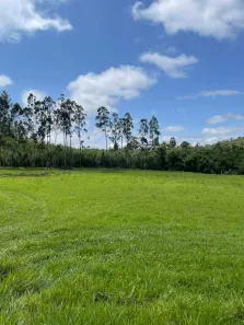 Fazenda / Sítio / Chácara com 5 Quartos à venda, 1000m² no , Alumínio