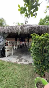 Fazenda / Sítio / Chácara com 3 Quartos à venda, 300m² no , Petrolina