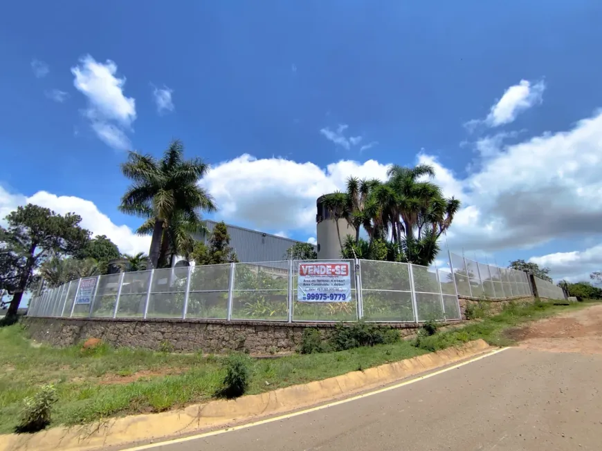 Foto - Cabreúva - Jacaré